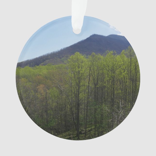 Smoky Mountains in Spring Landscape Ornament (Front)