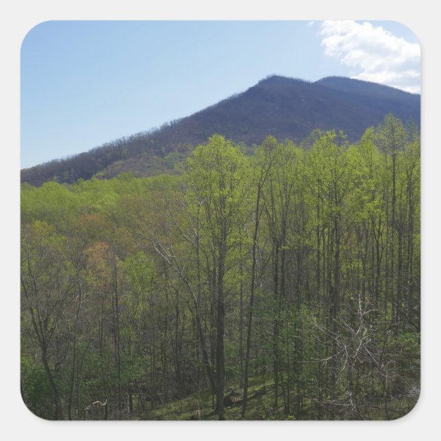 Smoky Mountains in Spring Landscape Square Sticker (Front)