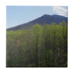 Smoky Mountains in Spring Landscape Tile