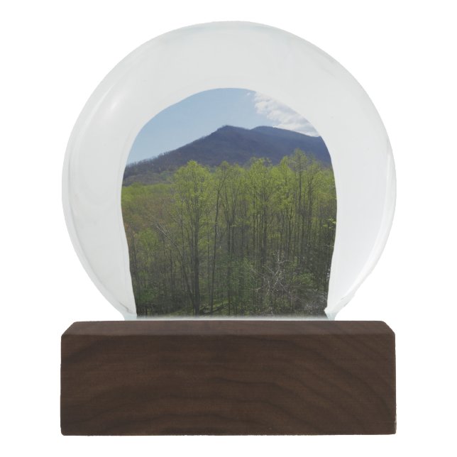 Smoky Mountains in Spring Snow Globe (Front)