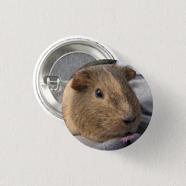Smooth, Agouti Guinea Pig and Flower 1 Inch Round Button (Front & Back)