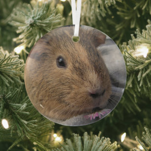 Smooth, Agouti Guinea Pig and Pink Flower Glass Ornament