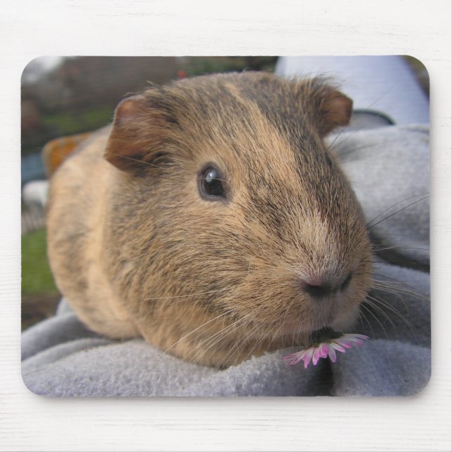 Smooth, Agouti Guinea Pig and Pink Flower Mouse Pad (Front)