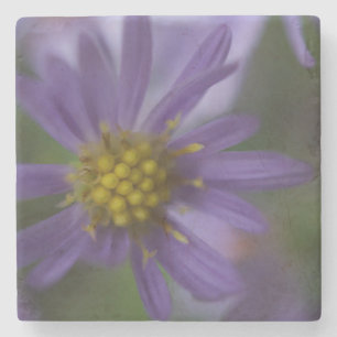 Smooth Blue Astor Stone Coaster