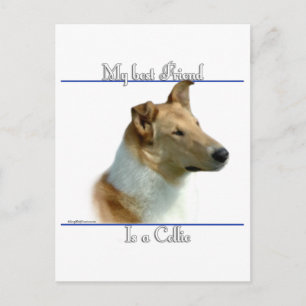 Smooth Collie Best Friend 2 Postcard