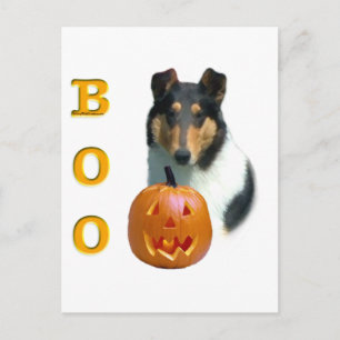Smooth Collie Boo Postcard