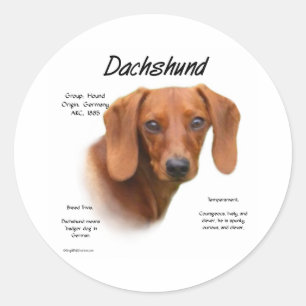 Smooth Dachshund Meet the Breed - Customized Classic Round Sticker
