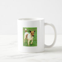 Smooth Fox Terrier