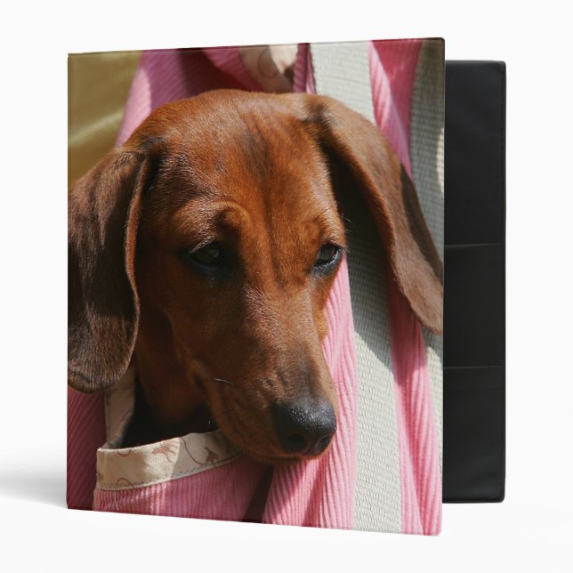 Smooth-haired Miniature Dachshund Puppy Binder (Front/Inside)