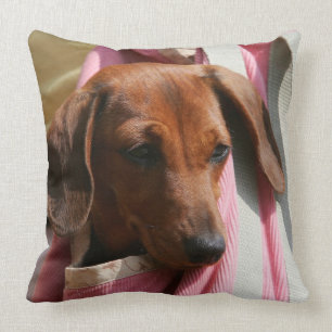 Smooth-haired Miniature Dachshund Puppy Throw Pillow