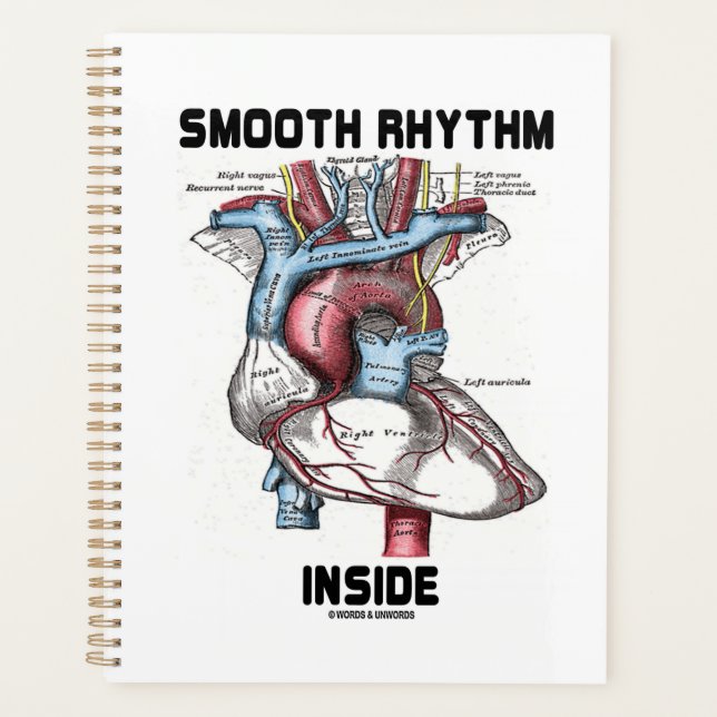 Smooth Rhythm Inside Medical Anatomical Heart Planner (Front)