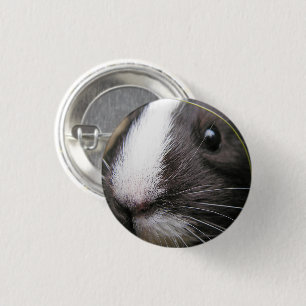 Smooth, Short Hair, Black and White Guinea Pig 1 Inch Round Button