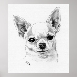 Smoothcoat Chihuahua Champion Poster