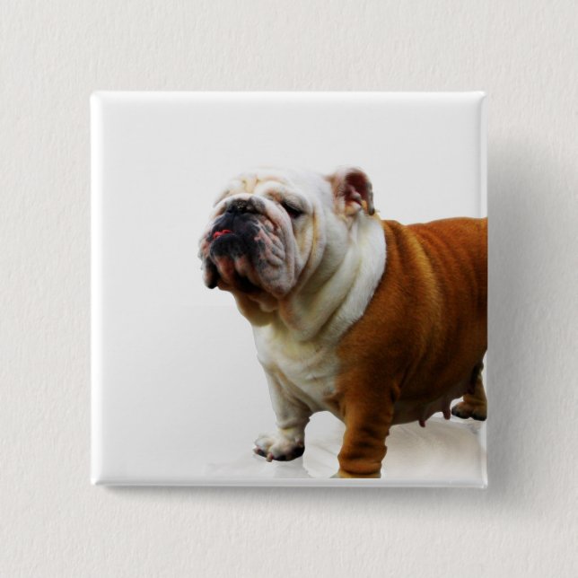 Smug Bulldog Button (Front)