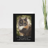 Smug Kitty - Do What You Want?