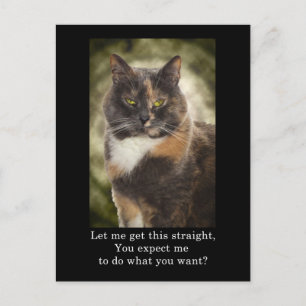 Smug Kitty - Do What You Want? Postcard