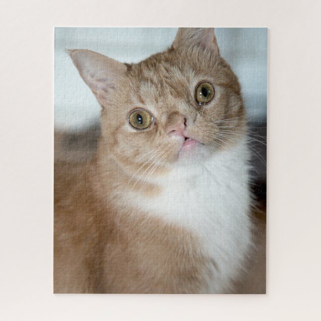 Smushie Puzzle (Vertical)