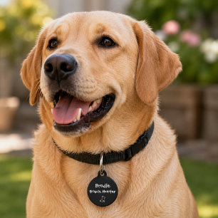 Snack Hunter – Custom Pet Tag
