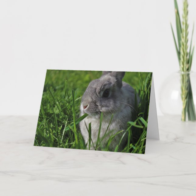 Snack Time Card (Front)