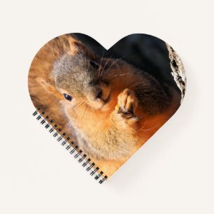 Snack time notebook