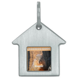 Snack time pet ID tag
