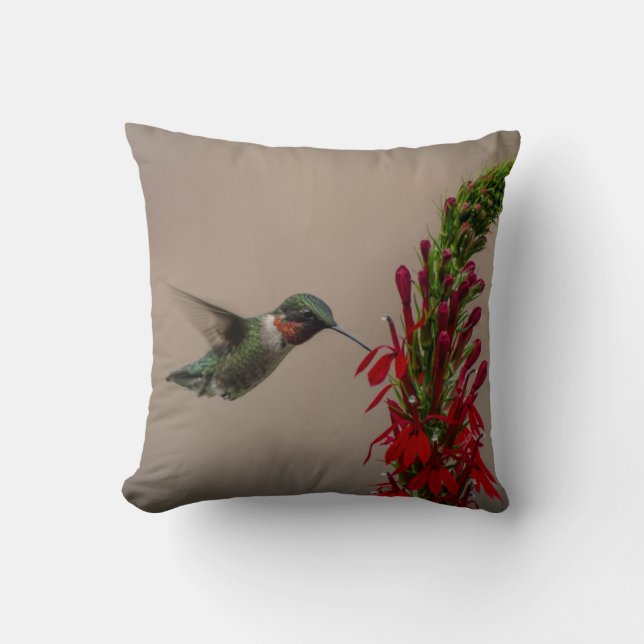 SNACK TIME THROW PILLOW (Front)