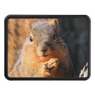 Snack time trailer hitch cover