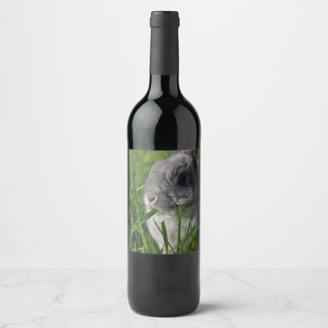 Snack Time Wine Label (Front)
