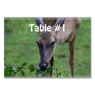 Snacking Deer Table Number