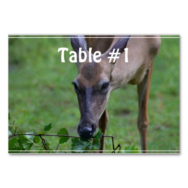 Snacking Deer Table Number (Front)