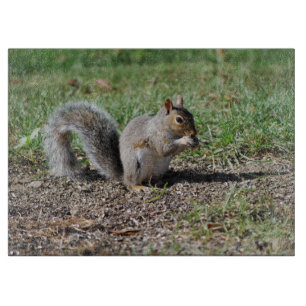 Snacking Squirrel Cutting Board