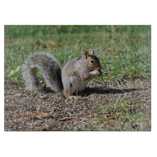 Snacking Squirrel Cutting Board (Front)