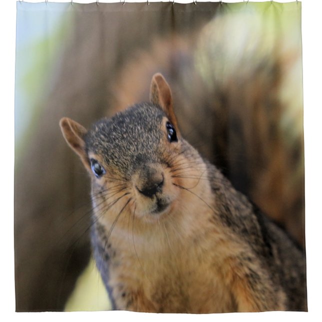 Snacks? I LOVE snacks! (Front)