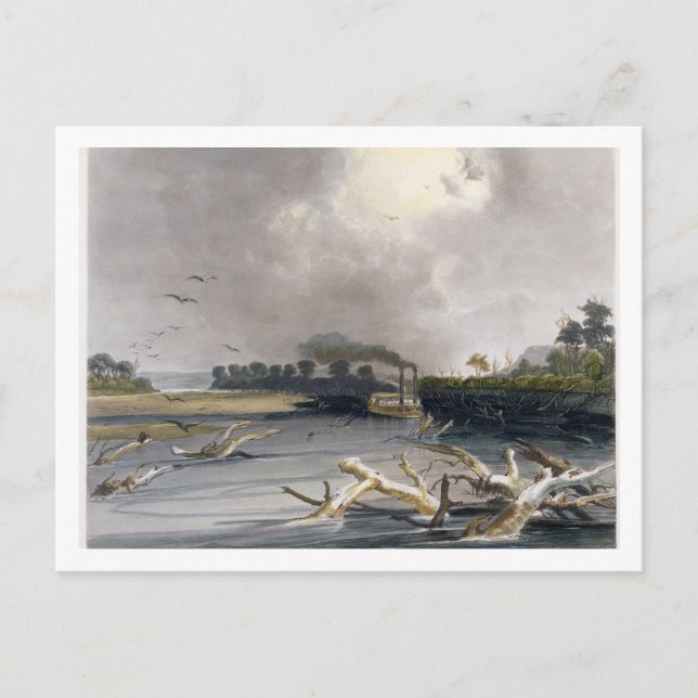Snags (sunken trees) on the Missouri, plate 6 from Postcard (Front)