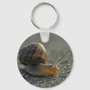 Snail 1 Keychain