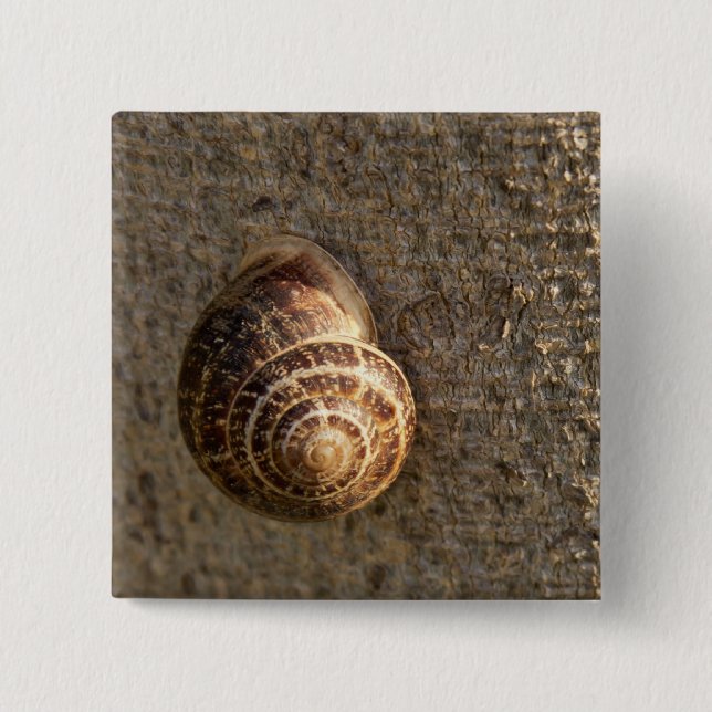 Snail 2 Inch Square Button (Front)