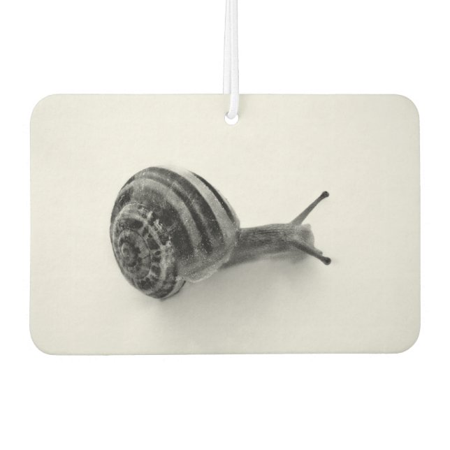 Snail Air Freshener (Front)