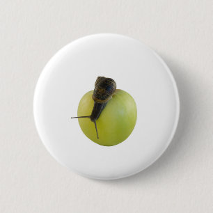 Snail and apple 2 inch round button