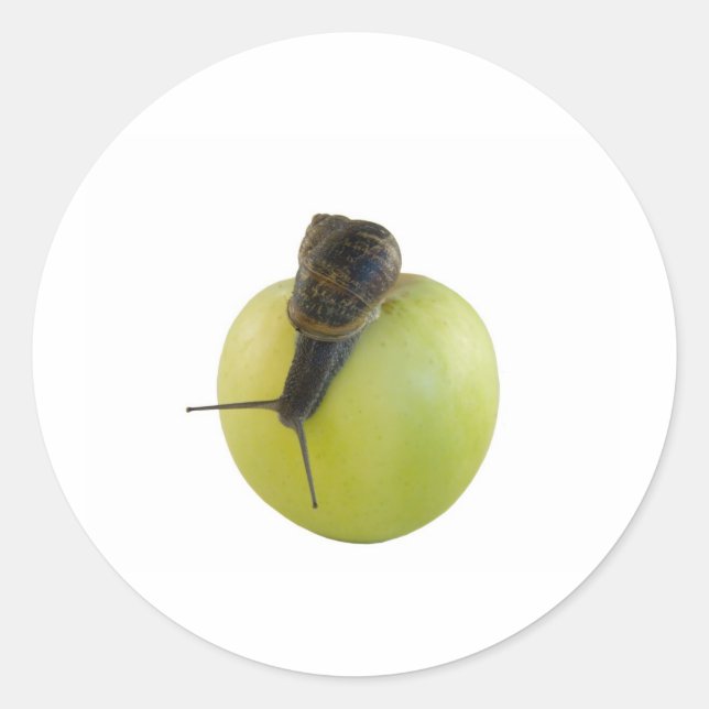 Snail and apple classic round sticker (Front)
