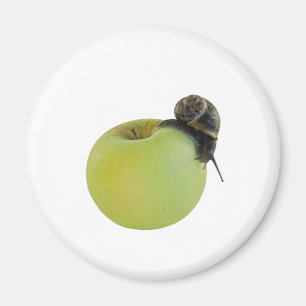 Snail and apple magnet