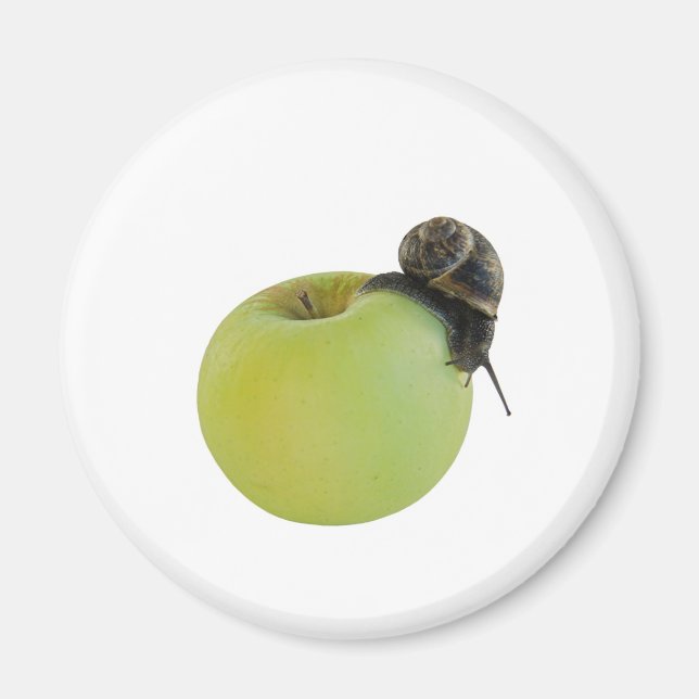 Snail and apple magnet (Front)