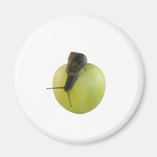 Snail and apple magnet