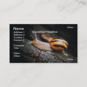 Snail Business Card