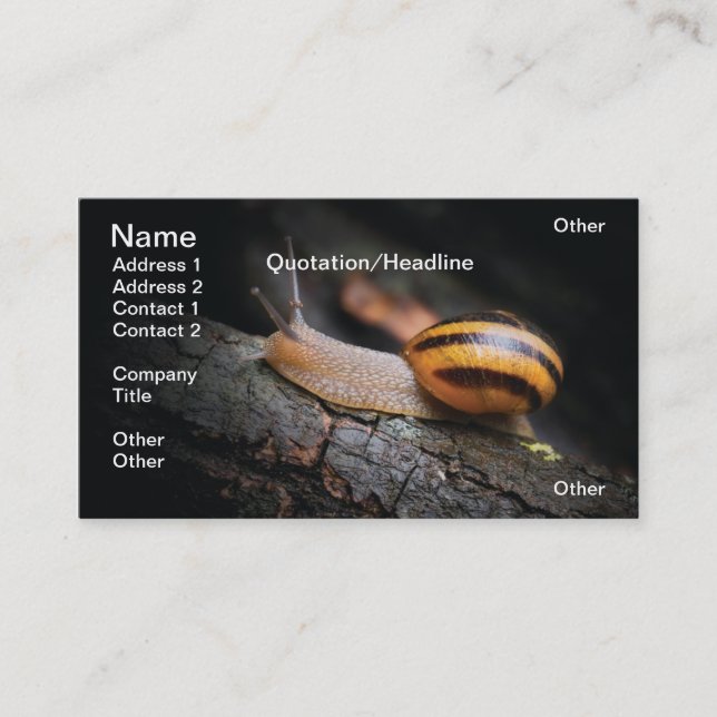 Snail Business Card (Front)