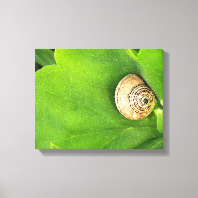 snail canvas print (Front)