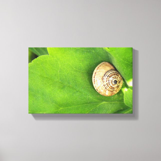 snail canvas print (Front)