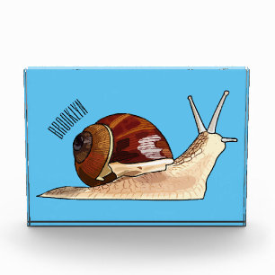 Snail cartoon illustration photo block