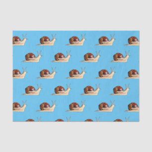 Snail cartoon illustration tissue paper