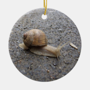 snail ceramic ornament