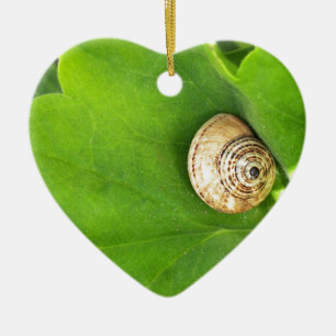 snail ceramic ornament
